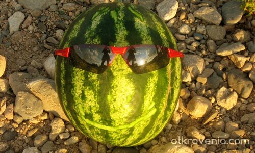 На всички мои настоящи и бъдещи (по)читатели... "Да бъдем повече усмихнати"