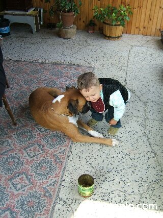 Хайде да се гушкаме