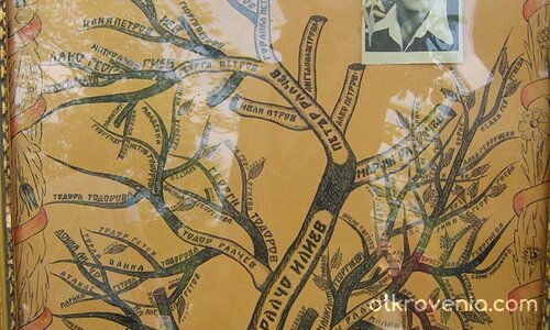 Фамилно дърво