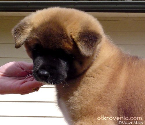 Пак сладурчееееее :))