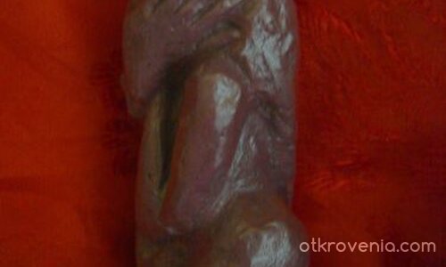 мислител 333