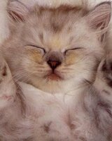 Imaginary (Марти)