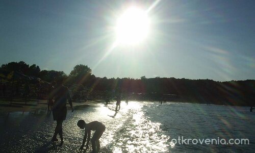 Поглед към младините