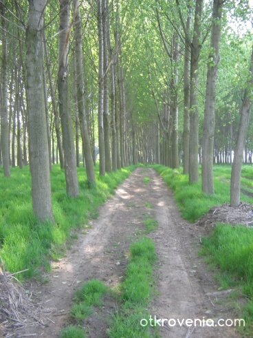 In the Middle of Nowhere