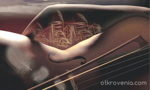 Музикални форми