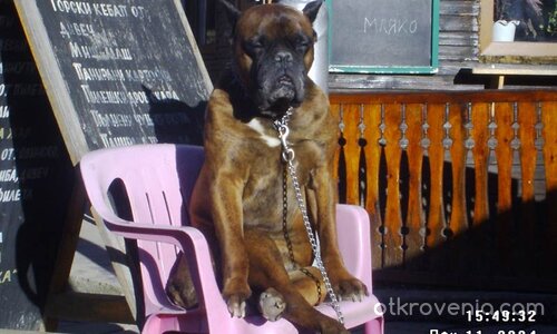 Kак ме мързи само