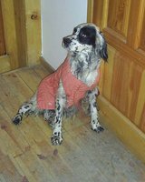 Com_ocio (Хухавел)