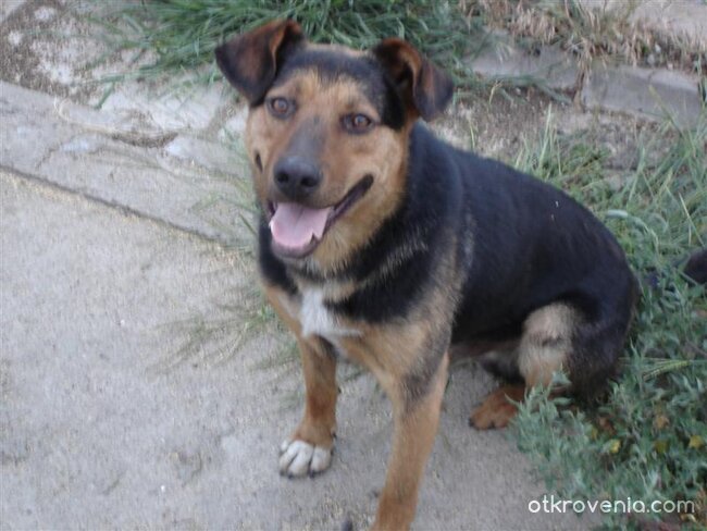 Пази си фотоапарата!