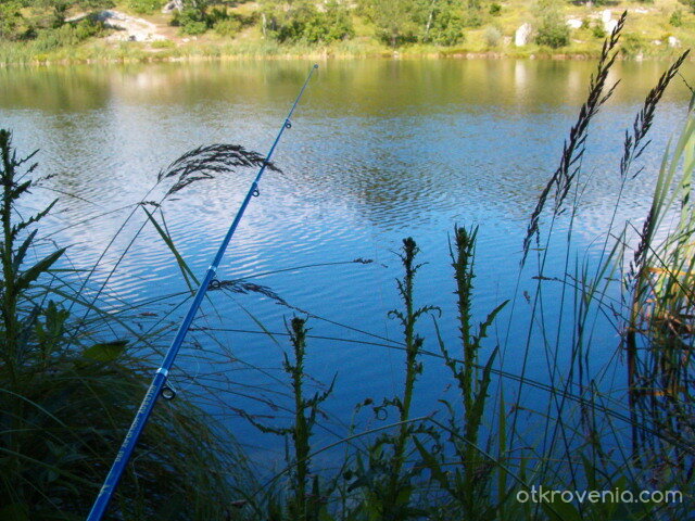Дали ще клъвне този път?!...