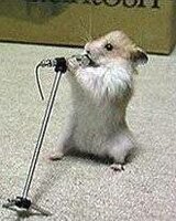 mishi (Диляна Иванова)