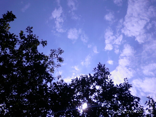 Искрица светлина