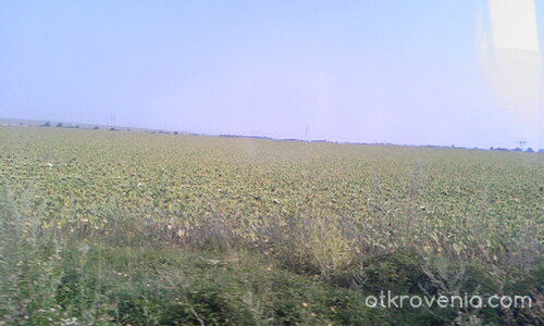 В един слънчев ден