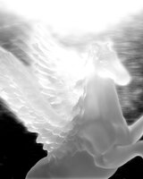 numb_g1rl (Жани)