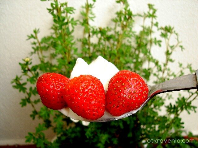 Ями...вкусно!