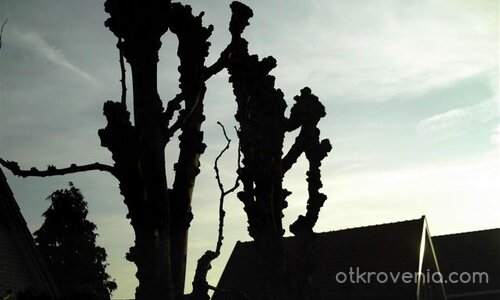 Ще оживеят ли...някога?