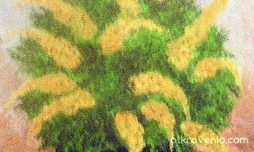 ЦВЕТЯ  (масло)