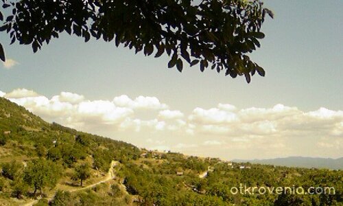 Природа като картинка