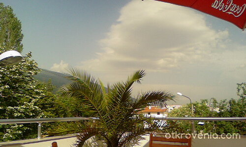 Страшна гледка