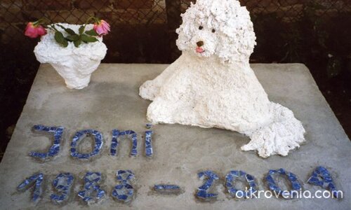 Последната грижа за него