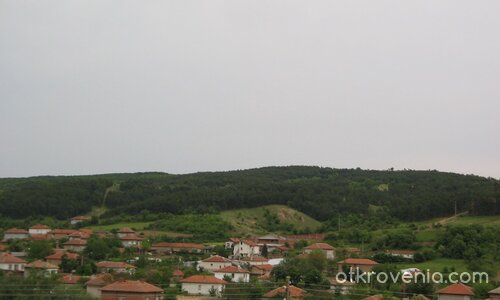 От птичи поглед