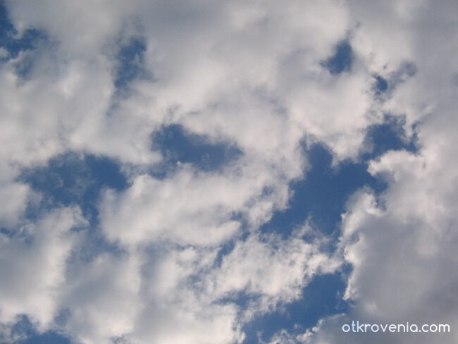 Захарен памук