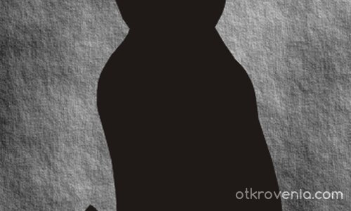 КОТАРАКА НА КОМШИЙКАТА