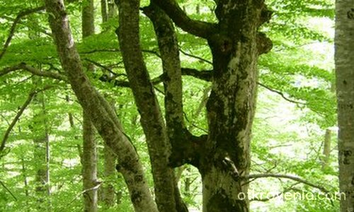 Да бъдеш различен