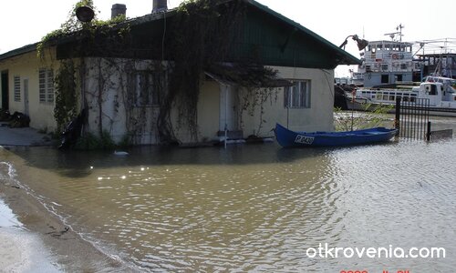 Дунав Русе 2006