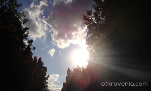 Ще те видя ли пак?