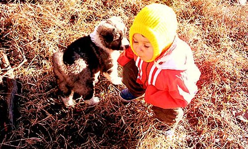 Бебо и Биба...