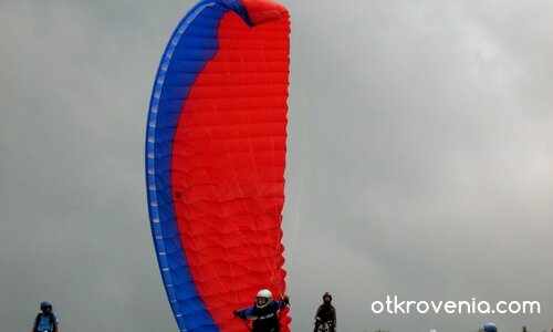 фал старт... 