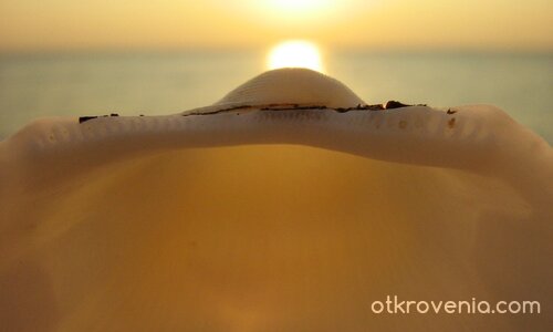 С черупка от мидичка на разходка по изгрев