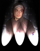 dodo_linkin (Гарванът)