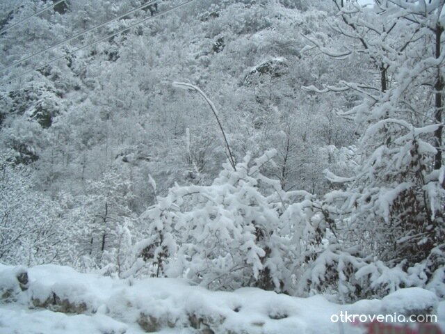 Снежна приказка