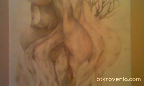 Кръговрата на живота