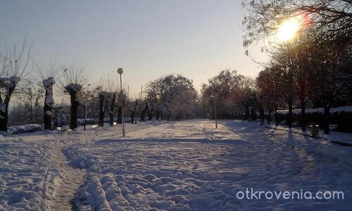 Зимна приказка