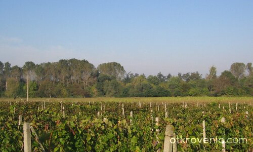 Моя родна земя...