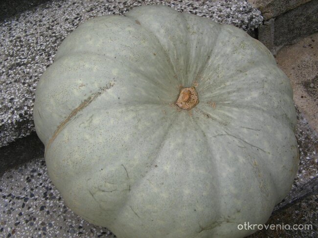 Каляската на Пепеляшка