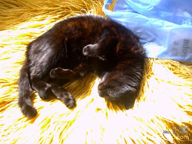 Пухкава слънчева баня :)