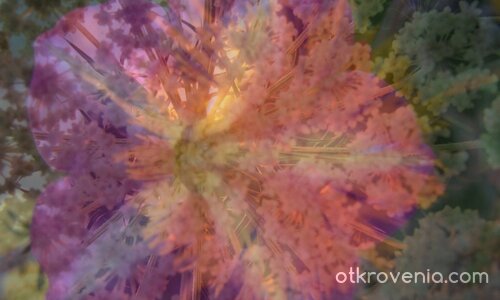 Сътворяване в залеза...