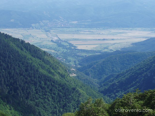 Зелените долинки