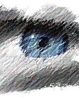 saf (Димитьр божидаров)