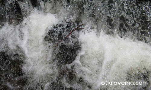 Живата вода