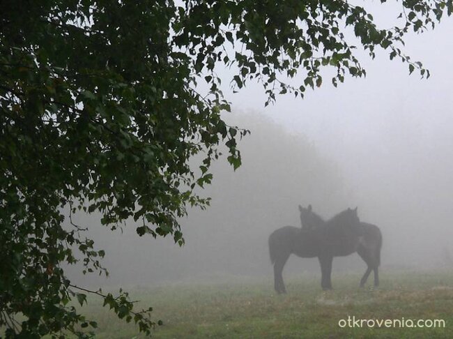 Зад Завесата :)