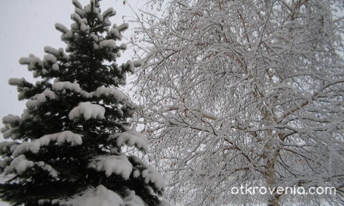 Зимна приказка