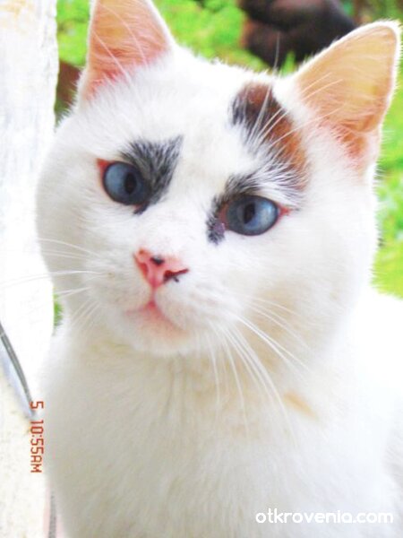 В очакване...