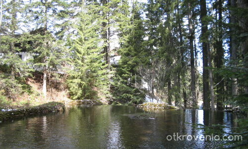 Отраженията :)