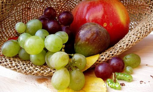 Шапка, пълна с есен