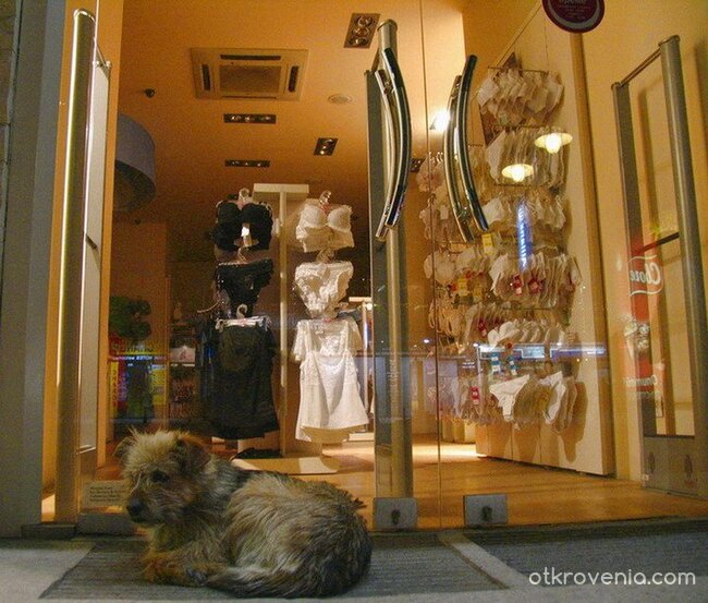 търпението ми има граници!!!