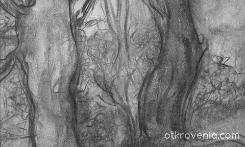 Столетници